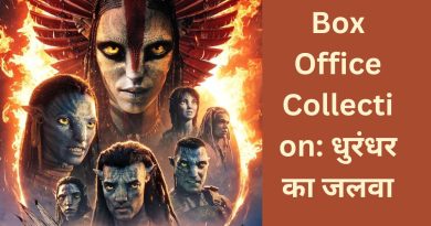 Box Office Collection 31 December