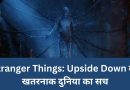 Stranger Things: Upside Down की खतरनाक दुनिया का सच